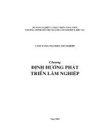 Định hướng phát triển lâm nghiệp