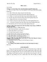 Kế toán NVL tại công ty 17 - Tổng công ty xây dựng Trường Sơn