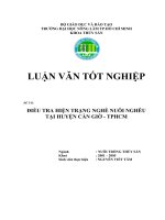 Điều tra hiện trạng nghề nuôi nghêu tại huyện Cần Giờ-TPHCM