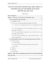 Vốn của ngân hàng thương mại, thực trạng và giải pháp tạo lập vốn trong ngân hàng thương mại việt nam