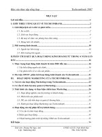 Hoạt động marketing của techcombank