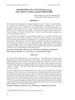  ảnh hưởng của tảo Chaetoceros sp. lên chất lượng artemina sinh khối