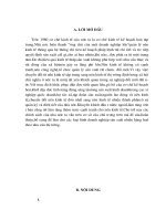 Thực trạng và những Giải pháp cơ bản để phát triển KTTT XHCN ở VN.