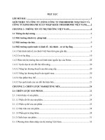 Hoạch định chiến lược Marketing toàn cầu cho một sản phẩm chưa có mặt tại thị trường Việt Nam