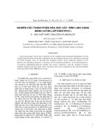 Nghiên cứu thành phần hóa học cây Bình linh cọng mảnh