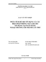 Rủi ro tín dụng và các biện pháp phòng ngừa rủi ro tín dụng tại ngân hàng ngoại thương cần thơ