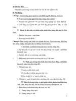 Xuất khẩu hàng dệt may của Việt nam sang thị trường Hoa Kỳ (2)