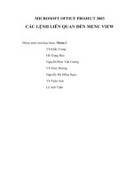 Microsoft office project 2003 các lệnh liên quan đến menu view