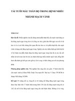 tái tưới máu toàn bộ trong bệnh nhiều nhánh mạch vành