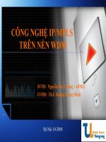 Công nghệ IP/MPLS trên nền WDM