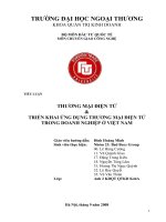 Thương mại điện tử và triển khai ứng dụng thương mại điện tử trong doanh nghiệp ở việt nam