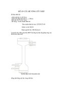 Thiết Kế Cầu Bêtông Cốt Thép phần 4