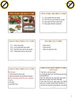 Công nghệ chế  cà phê 