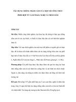 Tác dụng chống trầm cảm của một số công thức phối hợp từ cam thảo, nghệ và nhân sâm