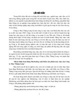 Hoàn thiện hoạt động Marketing xuất khẩu sản phẩm may mặc của Công ty May Thăng Long