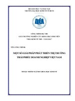 Một số giải pháp phát triển thị trường trái phiếu doanh nghiệp Việt Nam.pdf