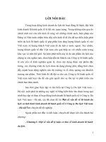 Một số vấn đề về lữ hành du lịch và tình hình kinh doanh lữ hành quốc tế ở Công ty Du lịch Việt nam - Hà nội