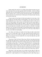 Hệ thống báo cáo tài chính với việc phân tích hoạt động tài chính tại tổng công ty thép việt nam