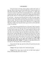 Một số giải pháp nhằm hoàn thiện công tác phân tích tài chính tại Công ty điều hành hướng dẫn du lịch Vinatour