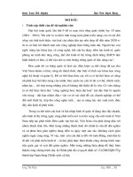 CÔNG TÁC CHO VAY ĐỐI VỚI CÁC  DỰ ÁN VAY VỐN TÍN DỤNG ĐTPT TẠI NGÂN HÀNG PHÁT TRIỂN VIỆT NAM 