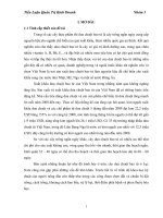 Tình hình sản xuất, chế biến và tiêu thụ dưa chuột bao tử ở Lục Nam – Bắc Giang