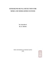 Semi-blind signal detection for mimo and mimo-ofdm systems