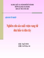 Nghiên cứu sản xuất rượu vang từ dưa hấu và dâu tây phần  2