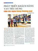 Phát triển khách hàng vay tiêu dùng của ngân hàng thương mại