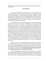 Tổ chức công tác kế toán NVL, CCDC ở C.ty Liên hiệp thực phẩm Hà Tây