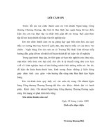 Chất lượng phân tích tín dụng tại Vietinbank chương dương