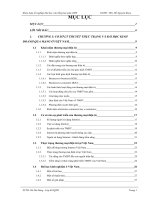 Giải pháp phát triển kinh doanh Thương mại điện tử tại Công ty Cổ phần Đại Nguyễn ĐN