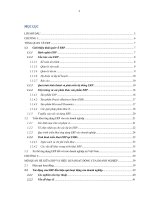 Hiệu quả hoạt động của các doanh nghiệp triển khai EPR