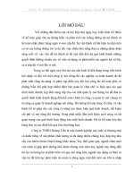 Tổ chức Kế toán bán hàng & xác định kết quả bán hàng tại Công ty TNHH Hoàng Tiến