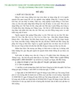 DTM Du an dau tu Xay dung  Nha may Luyen Dong cong suat 1000 tan