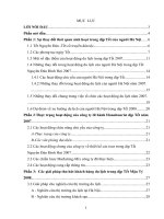 Các giải pháp thu hút khách hàng Hà Nội đi du lịch trong dịp Tết Mậu Tý 2008 của Công ty lữ hành Hanoitourist