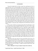 Báo cáo tổng hợp về tổ chức bộ máy và bộ sổ kế toán của Công ty cổ phần xi măng tiên sơn hà tây