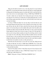 Hoàn thiện công tác Kế toán chi phí sản xuất & tính giá thành sản phẩm tại Công ty TNHH Nhựa Composit Việt á