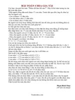 Bai toan chia gia tai