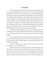 Tổ chức công tác Kế toán tiền lương & các khoản trích theo lương ở Công ty Cổ phần tập đoàn công nghệ CMC