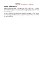 NSH-5632 quản lí 24 khe Fasst Ethernet SFP 4G combo Switch L3