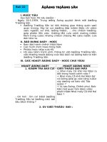 Giáo án lịch sử 5