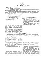 Giáo án lịch sử 5 tuần 7-14