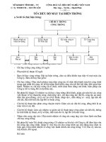 10 SO DO TO CHUC HIEN TRUONG