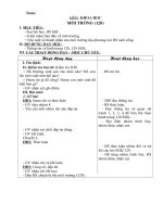 Giáo án môi trường