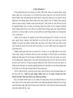 Một số giải pháp nhằm nâng cao kết quả hoạt động kinh doanh lữ hành tại Công ty du lịch dịch vụ Hà Nội