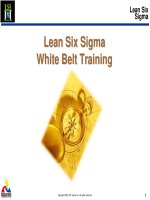 Lean Six-Sigma Overview White Belt Training