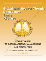 229_GOLD 2010 Pocket Guide for COPD