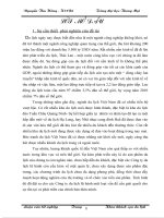 Hoàn thiện chính sách xúc tiến của chi nhánh Công ty dịch vụ du lịch Hải Phòng tại Hà Nội