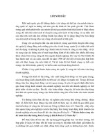 Hoàn thiện công tác Kế toán tiêu thụ hàng hoá ở Công ty Bách hoá số 5 Nam Bộ