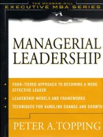 Mcgraw-Hill, eMBA Managerial Leadership, 2002